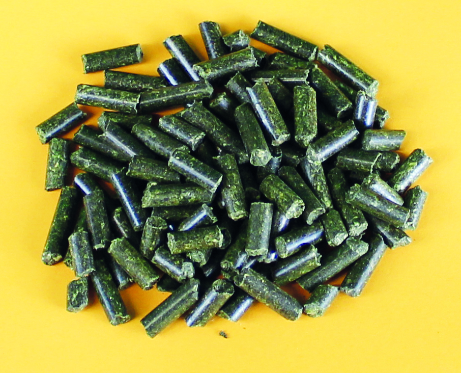 Olewo Luzerne Pellets 750g