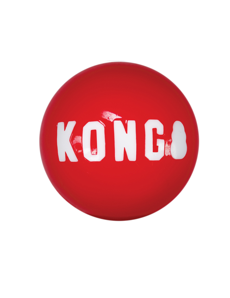 KONG Signature Bälle, 3er Set "L"
