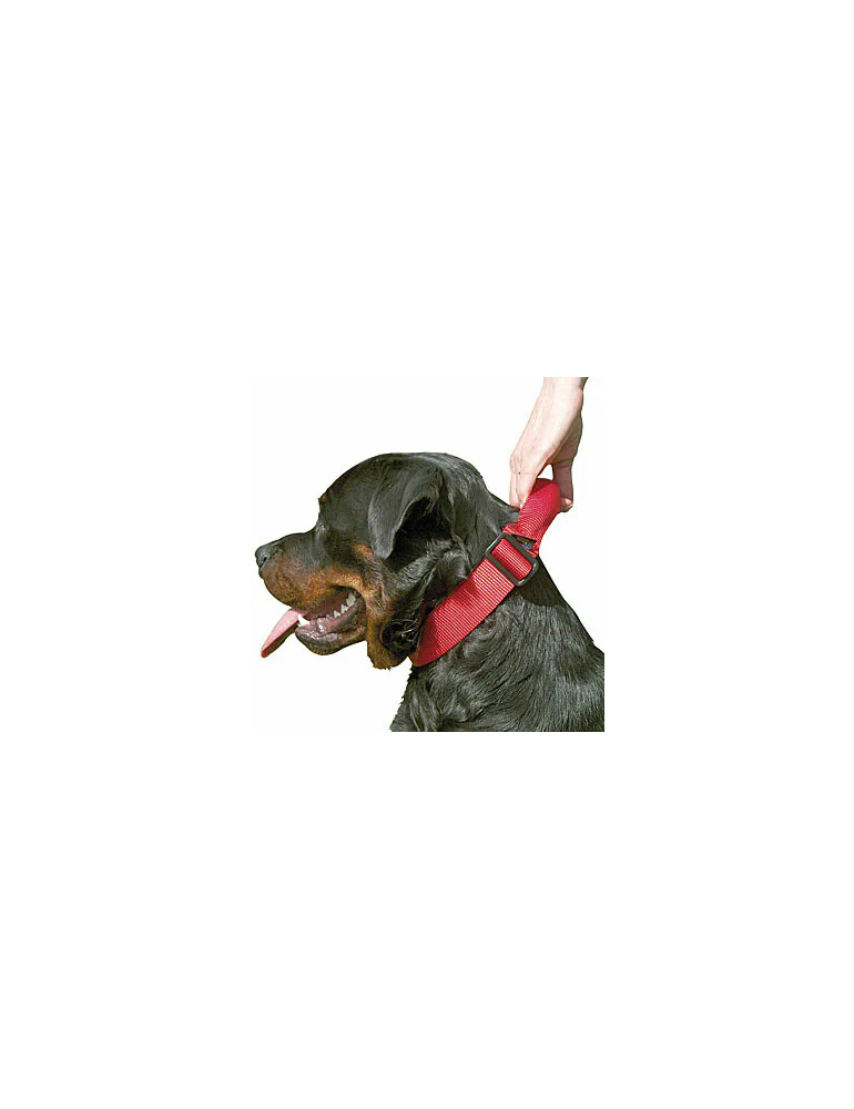 Halsband mit Griff 50/75cm schwarz